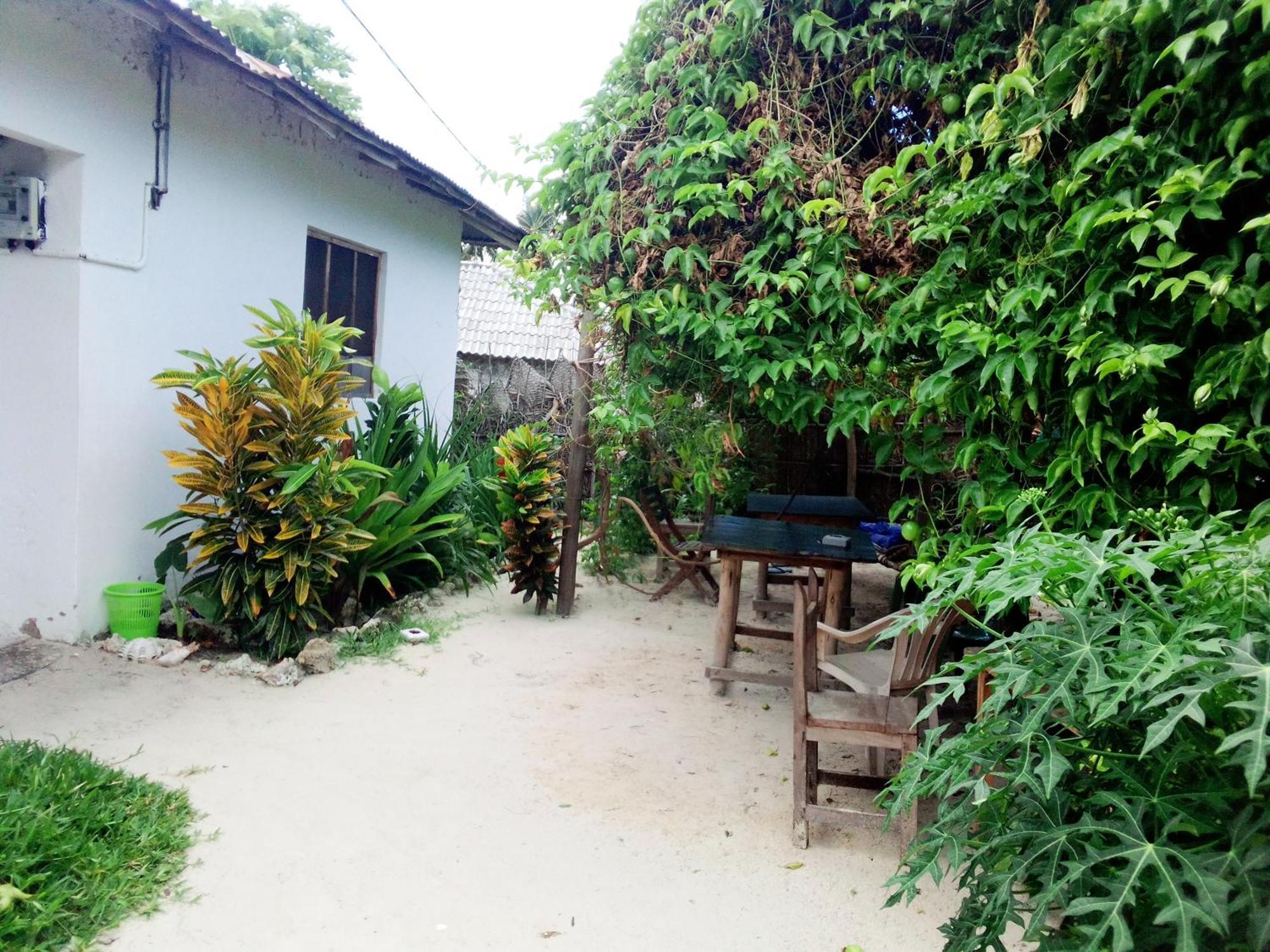Moringe Home Stay - Village House Jambiani  Kamer foto