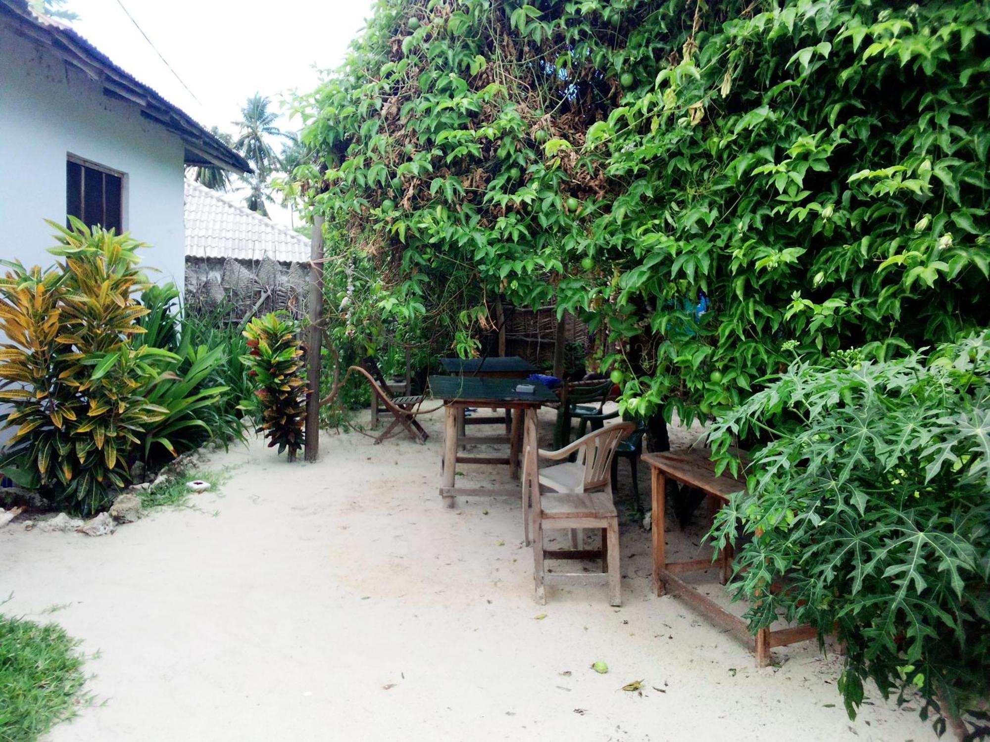 Moringe Home Stay - Village House Jambiani  Kamer foto