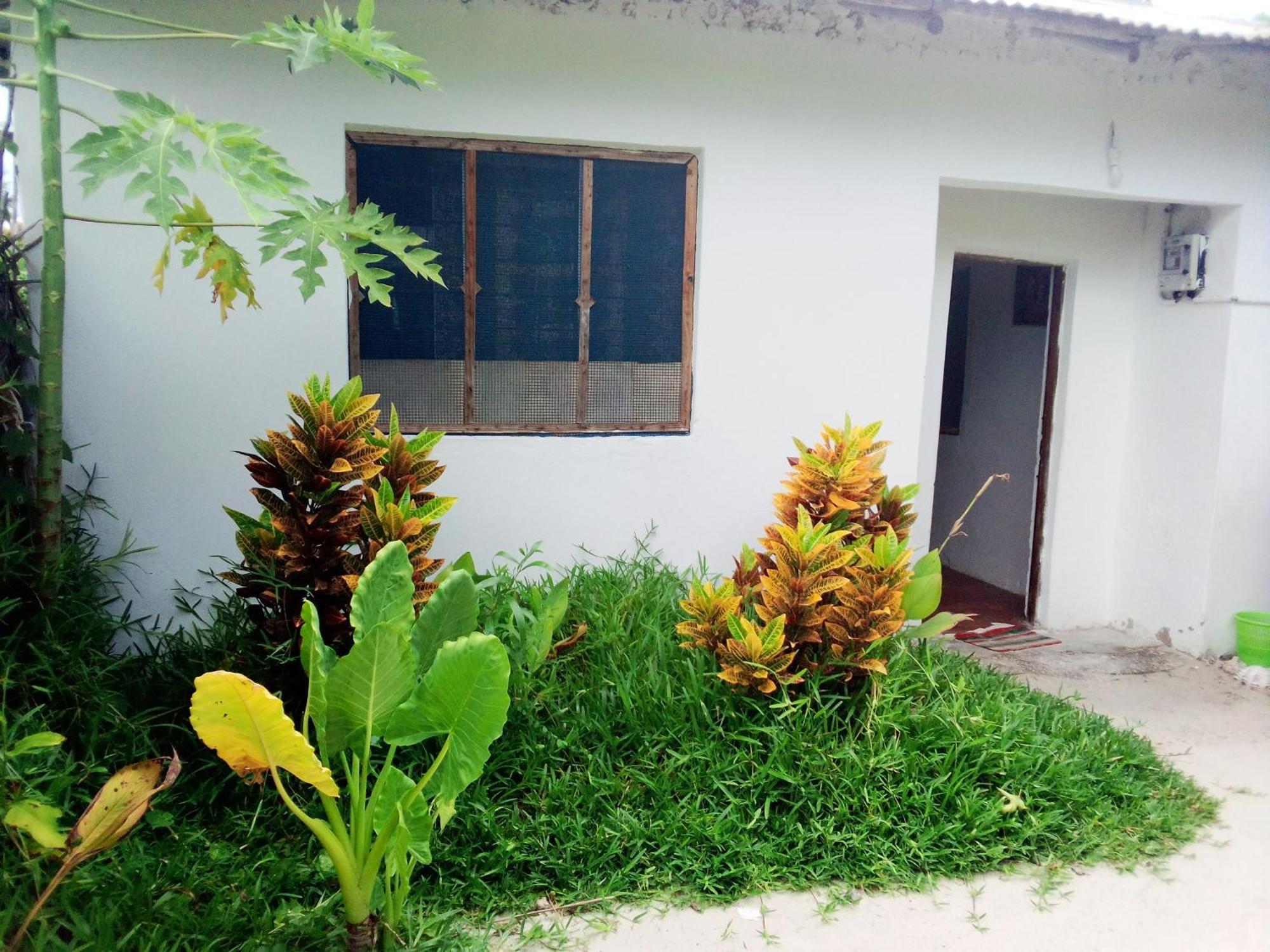 Moringe Home Stay - Village House Jambiani  Kamer foto